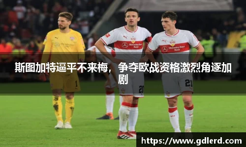 半岛·BOB官方网站