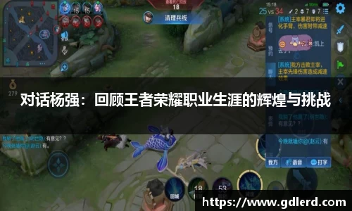 对话杨强：回顾王者荣耀职业生涯的辉煌与挑战