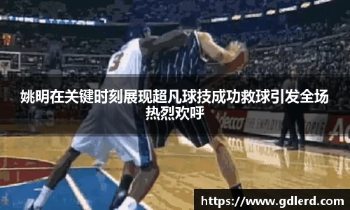 姚明在关键时刻展现超凡球技成功救球引发全场热烈欢呼
