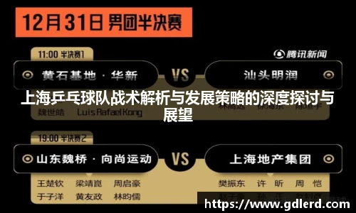 上海乒乓球队战术解析与发展策略的深度探讨与展望