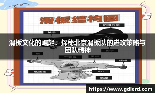 BoB半岛·体育中国官方网站