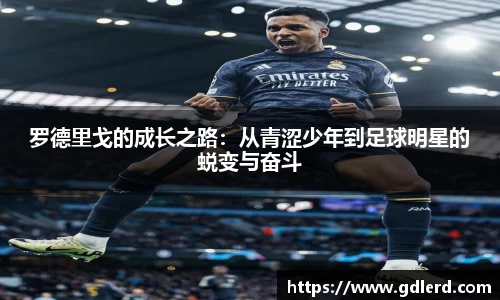 半岛·BOB官方网站
