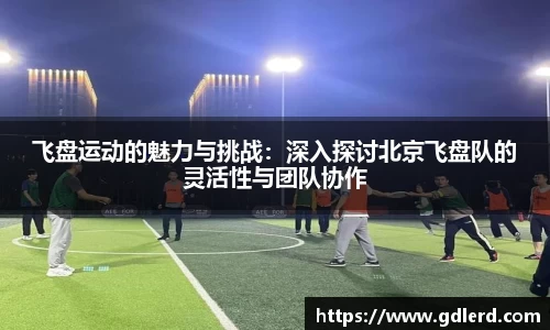 飞盘运动的魅力与挑战：深入探讨北京飞盘队的灵活性与团队协作