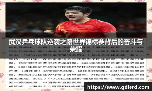 BoB半岛·体育中国官方网站