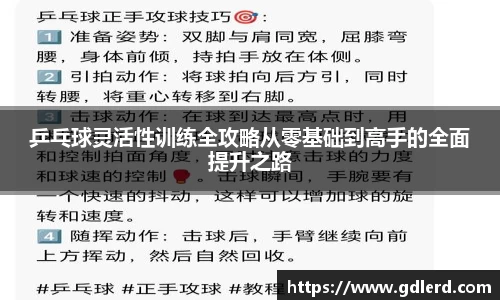 BoB半岛·体育中国官方网站